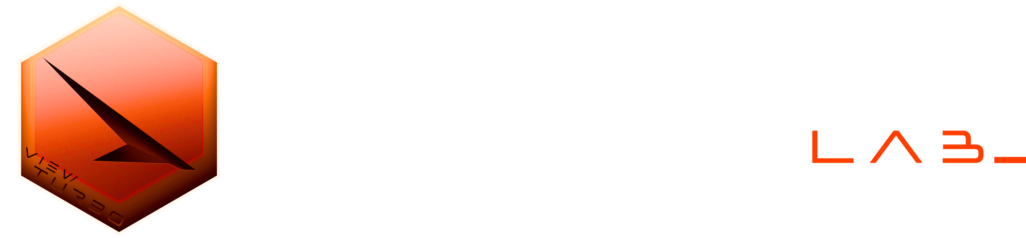 ViewTurbo Security Lab logo